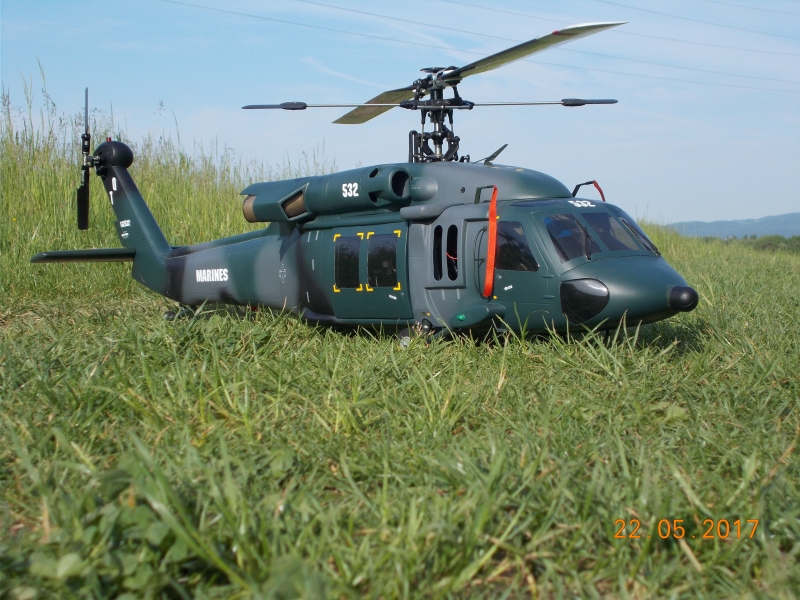 T REX 500/Black hawk