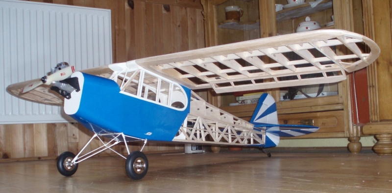 Piper J-3 clipped wing cub