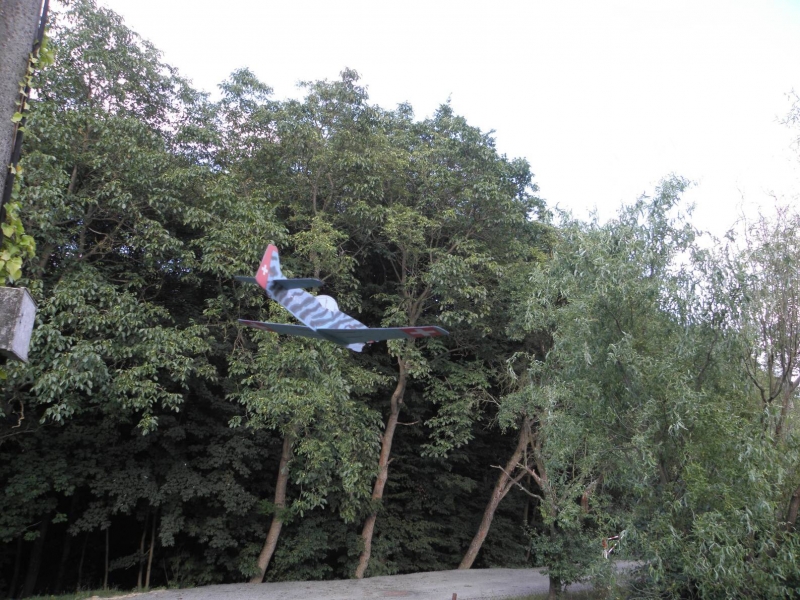 Házedlo Doflug D-3802 J-405