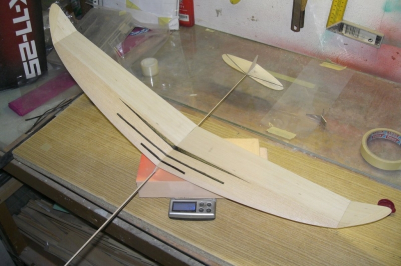 F1N Damir Kosir No.29