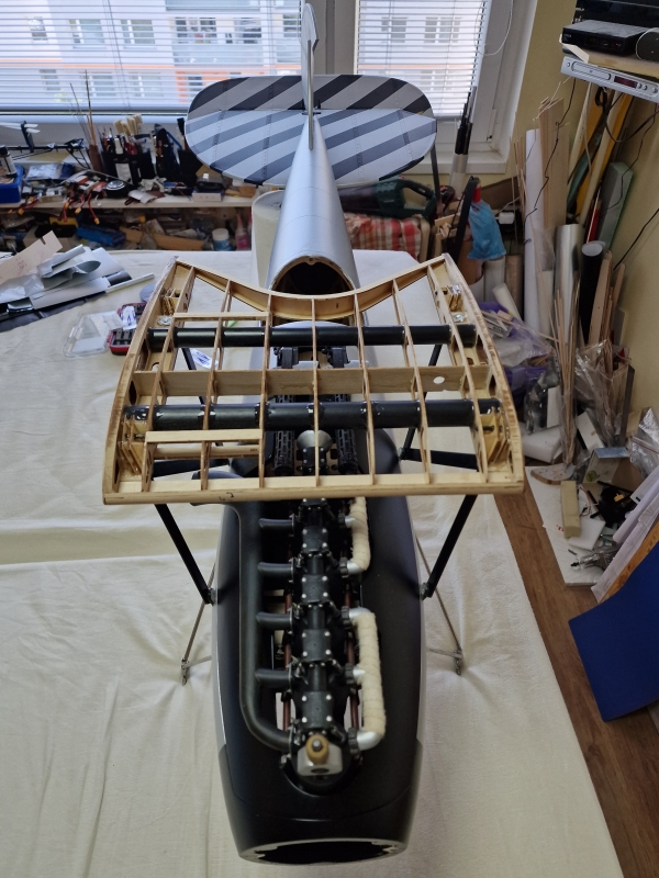 Albatros DV