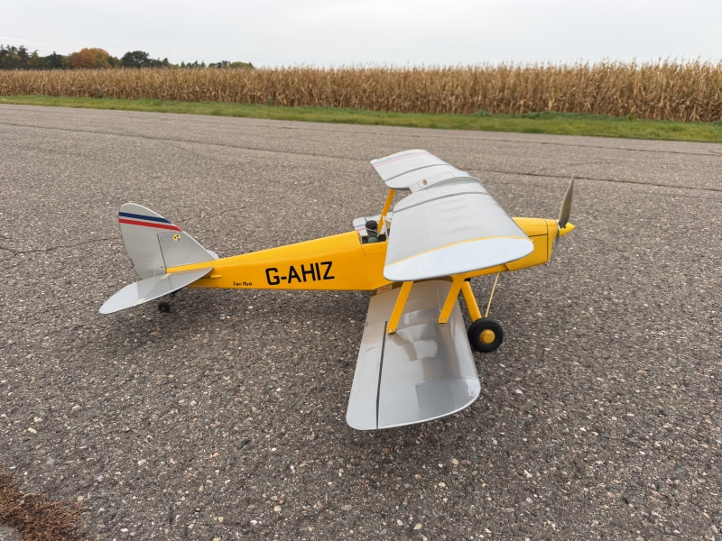 Tiger Moth
