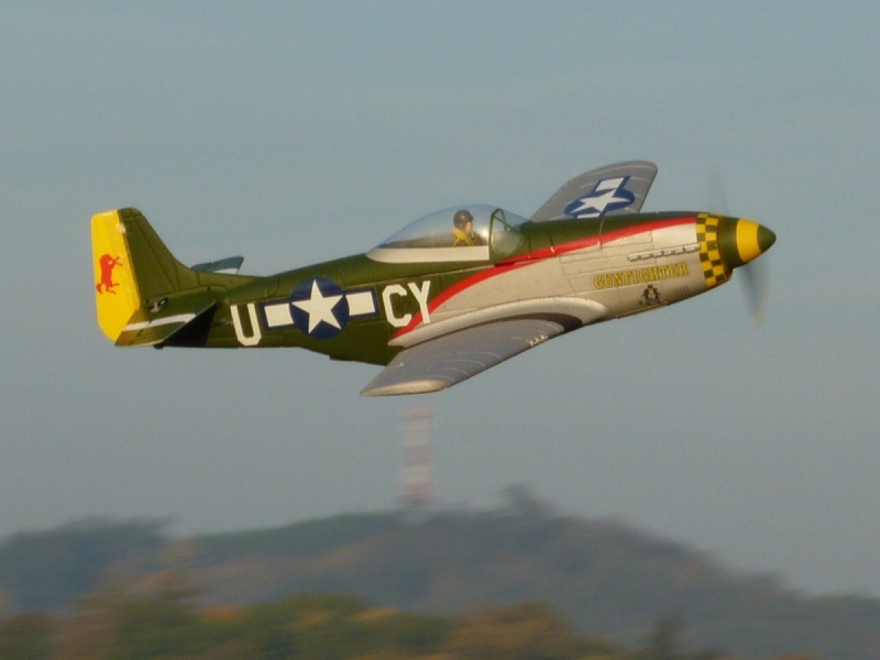 P-51D Mustang Gunfighter