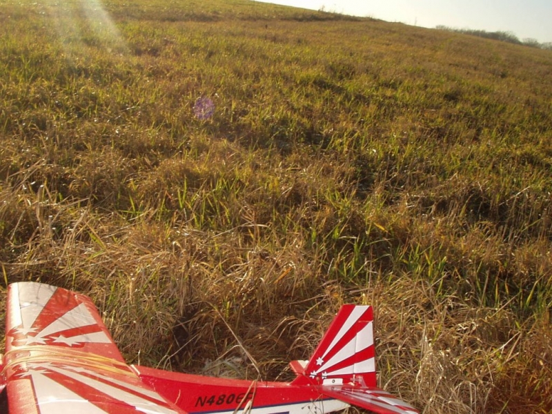 Super Bellanca Decathlon 480