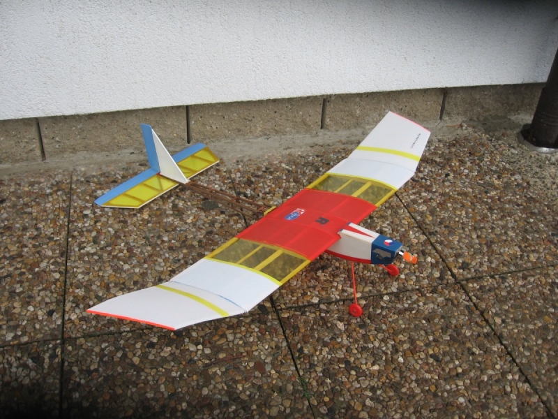 Alka...model do tělocvičny