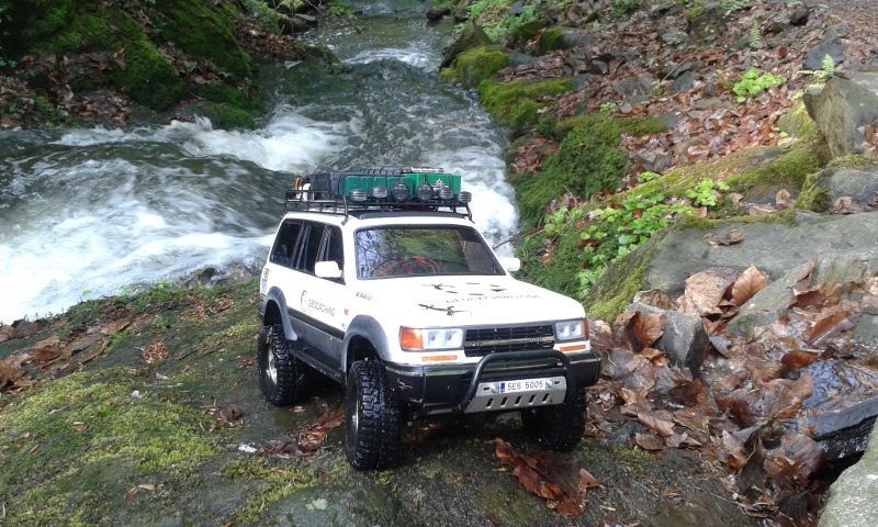 TOYOTA Land Cruiser LC80