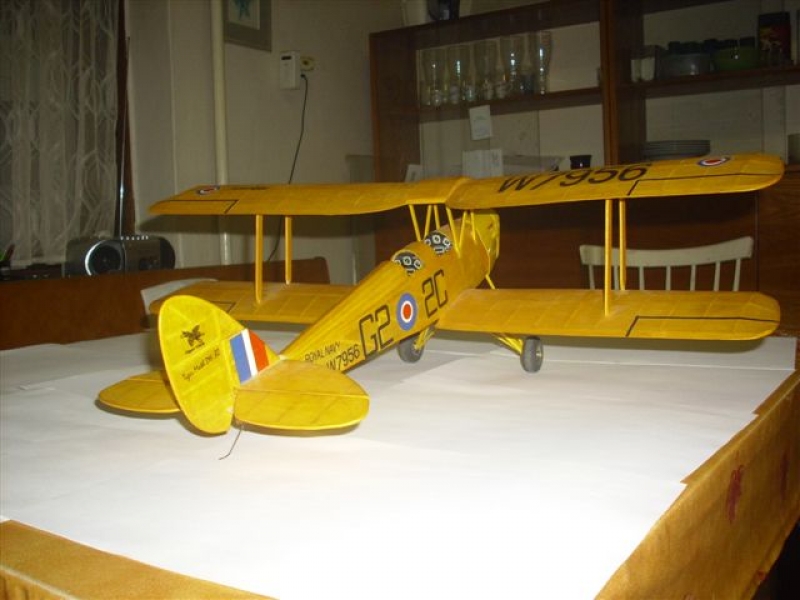 DH-82 Tiger month