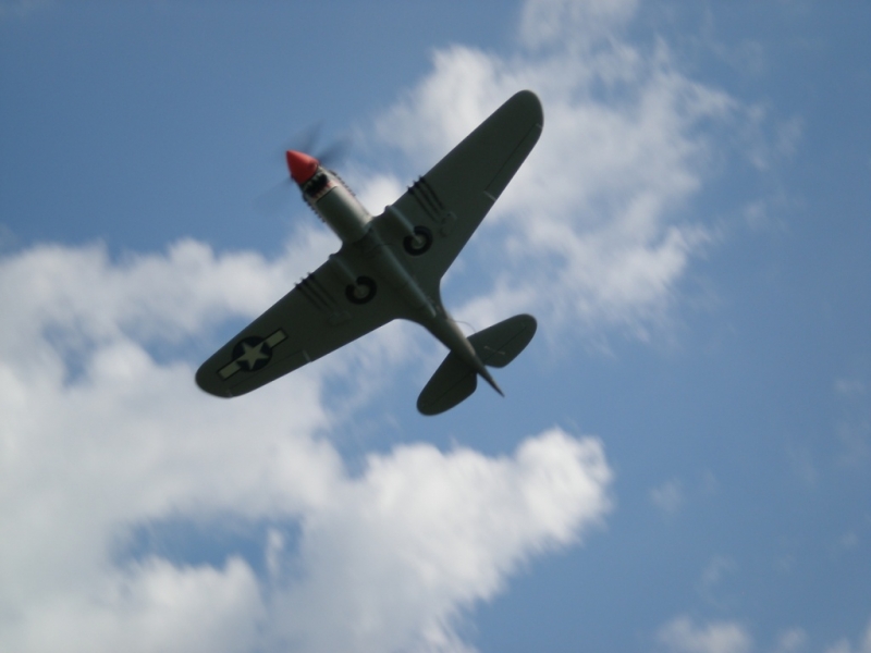 P-40 WARHAWK