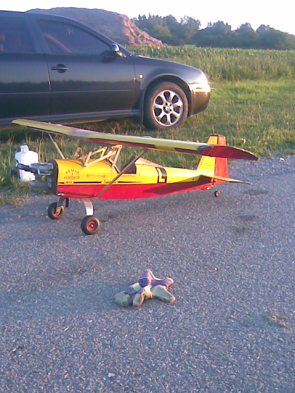 Armar I Gorion argentinische