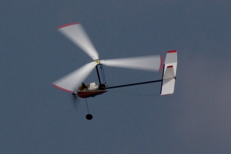 LAheli Rotorshape