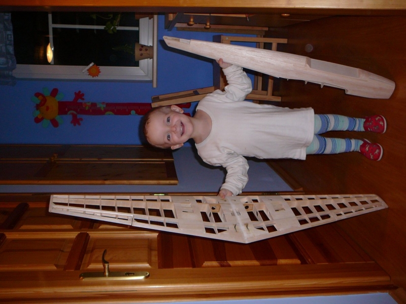 Messerschmitt BF 110C