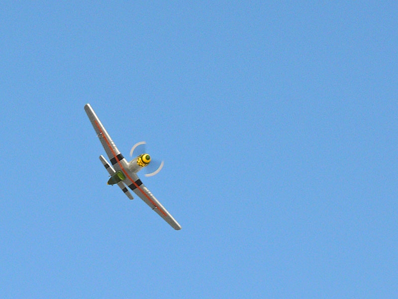 P-51D Mustang Gunfighter