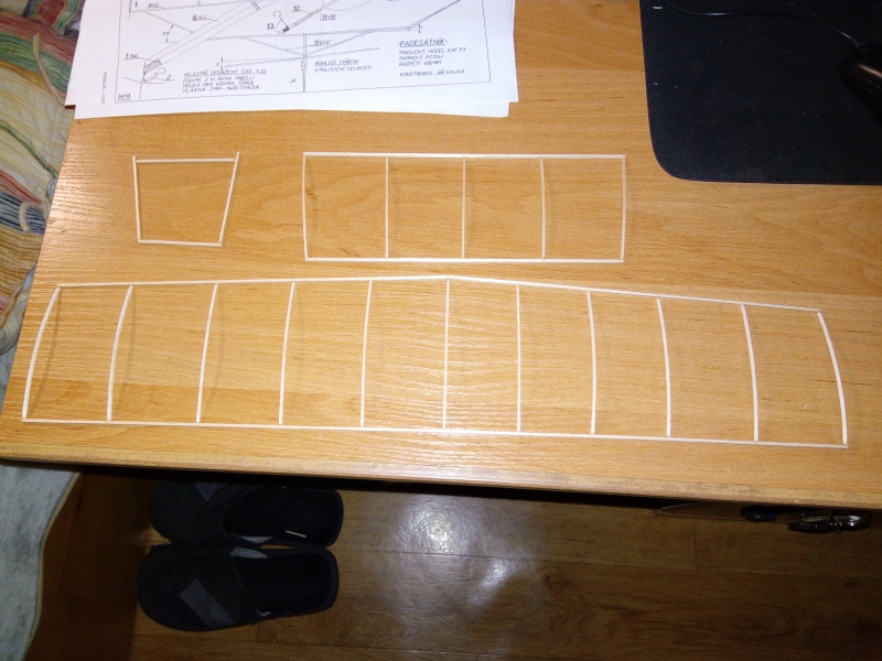 PADESÁTNÍK-halový model