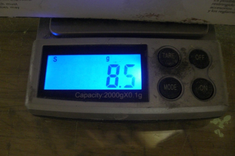 F1N Damir Kosir No.29 M