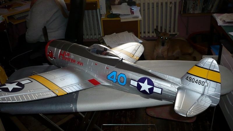 P-47 Thunderbolt 1110mm