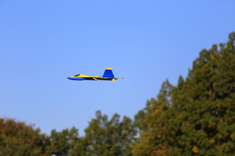 F22 Epp/Depron Parkjet rip