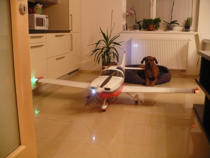 Glasair III