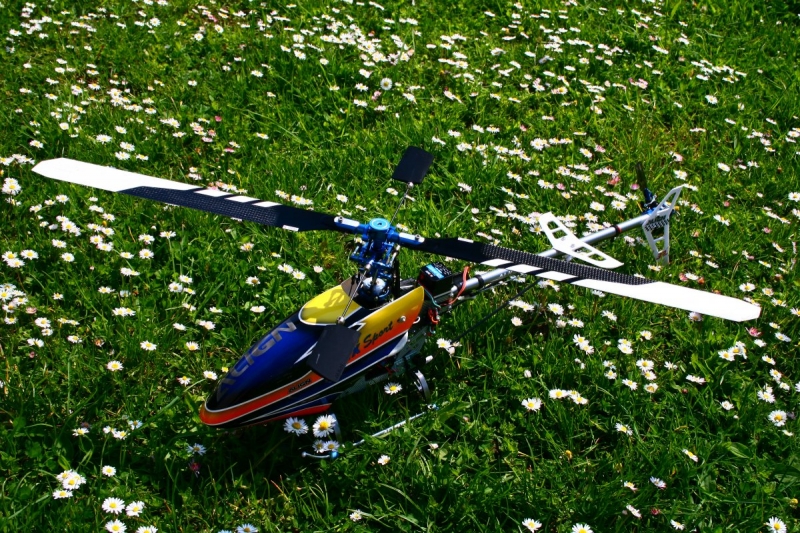 Trex 450S GF