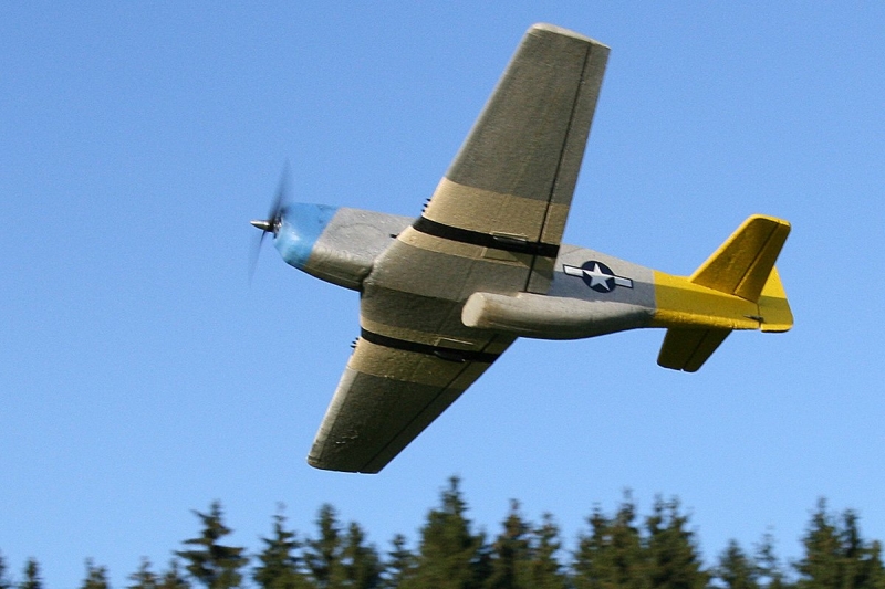Mustang P51d EPA1200