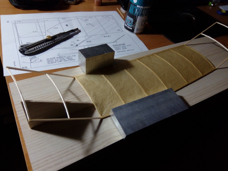 PADESÁTNÍK-halový model