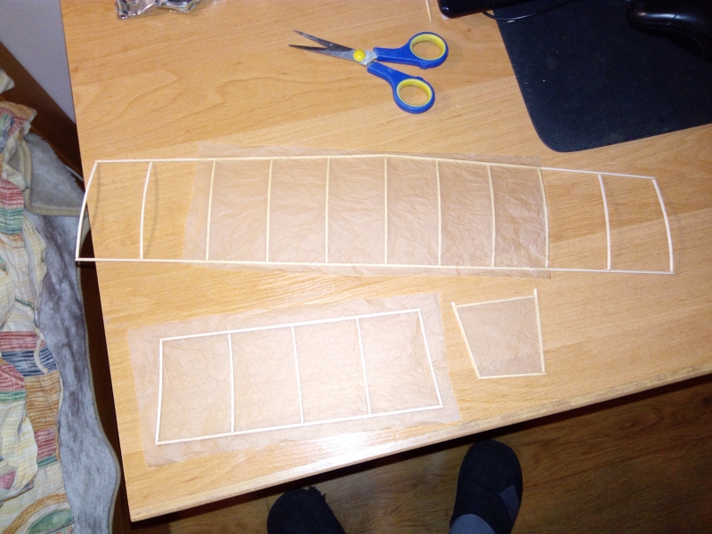 PADESÁTNÍK-halový model