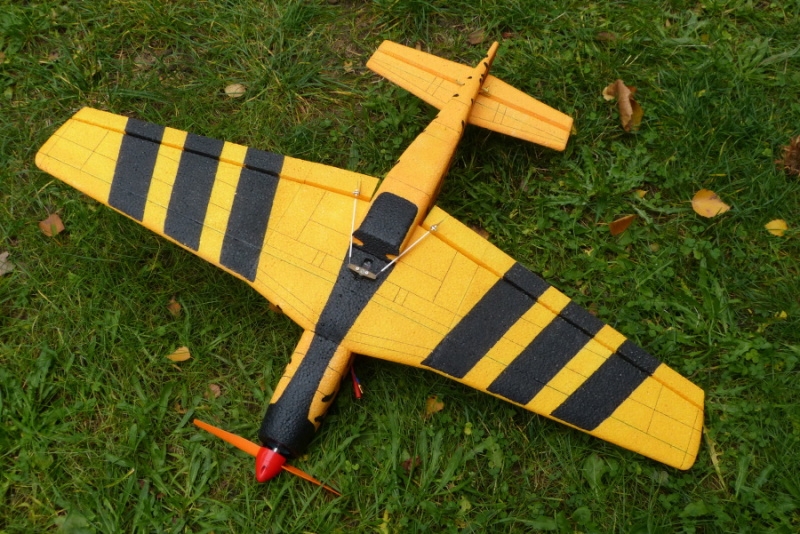 Mustang P-51