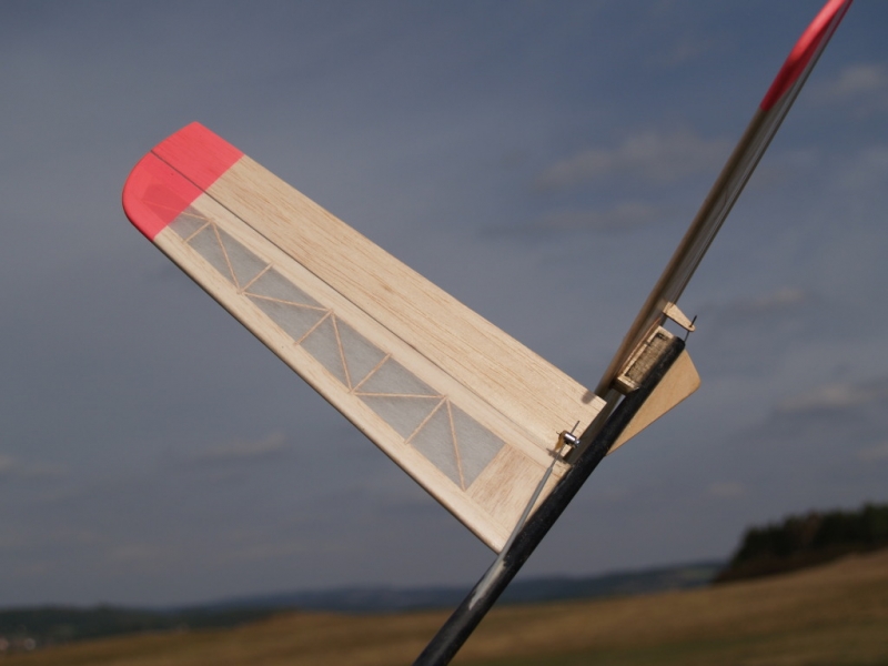 RCEK - Růžový Panter