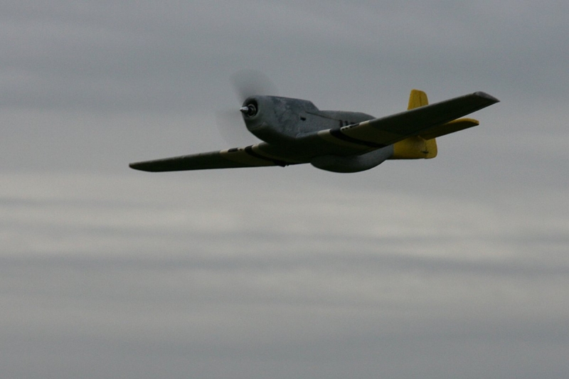 Mustang P51d EPA1200