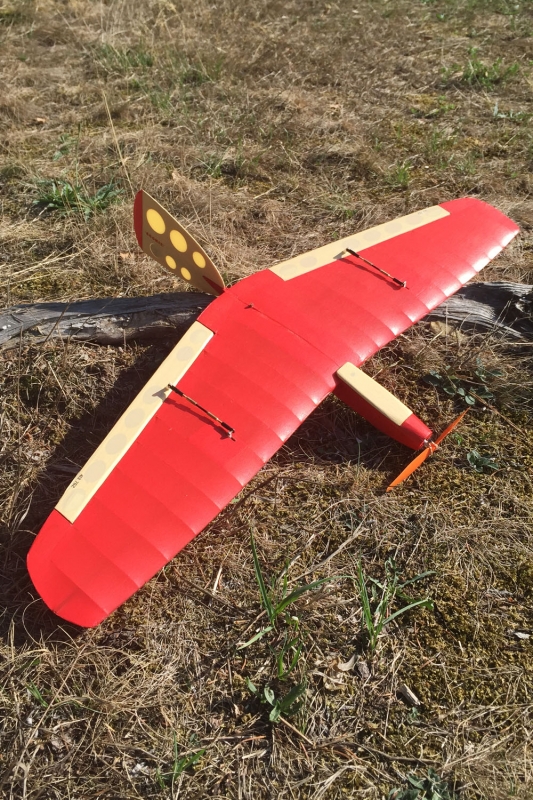 Mini SALy - E (Koláček)