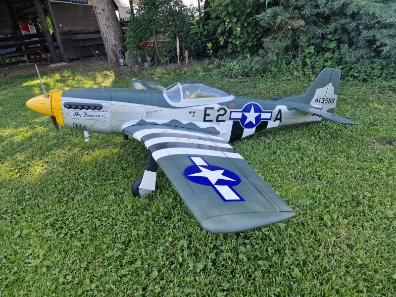 Mustang P-51D