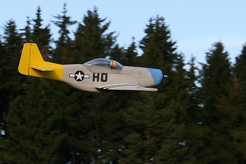 Mustang P51d EPA1200