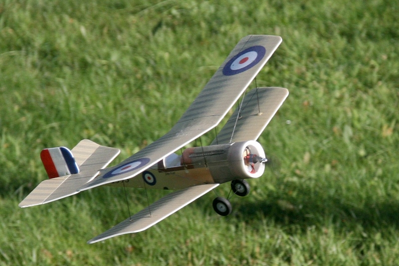 Bristol Scout