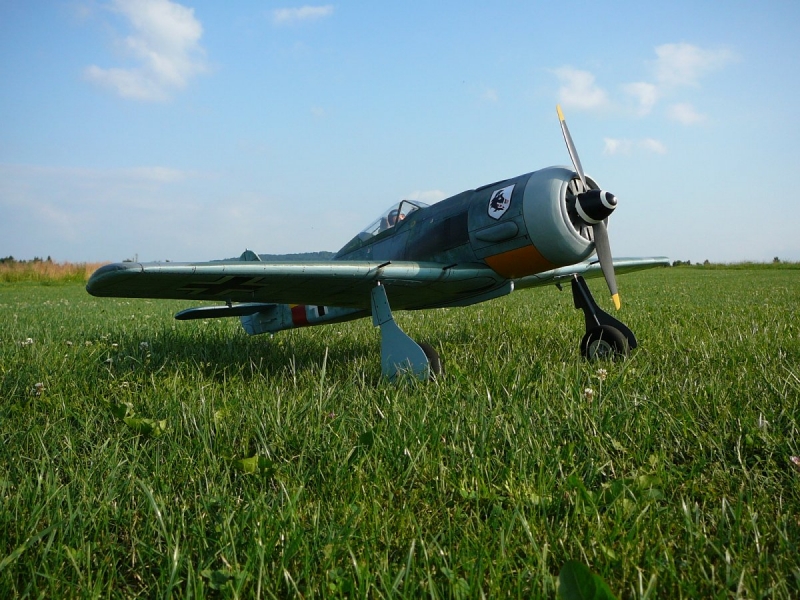 FW - 190 A-8/R2