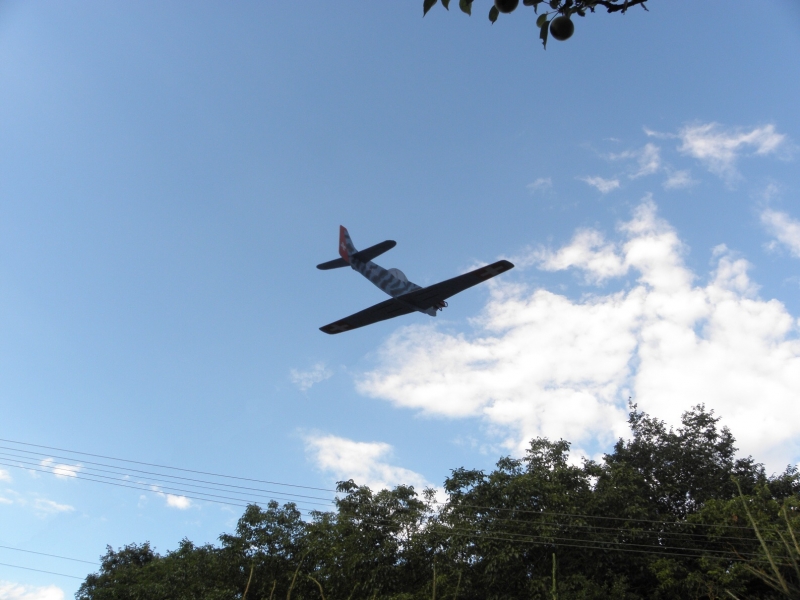 Házedlo Doflug D-3802 J-405