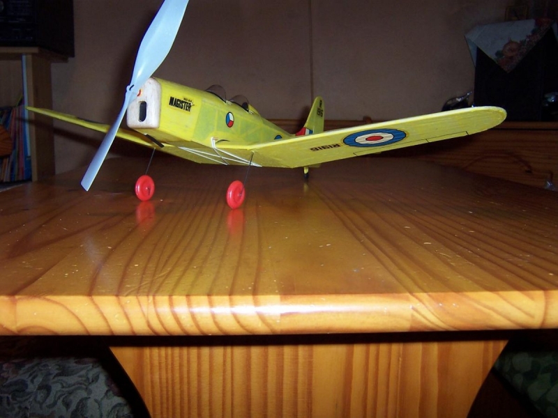 MAGISTER MILES - M - 14