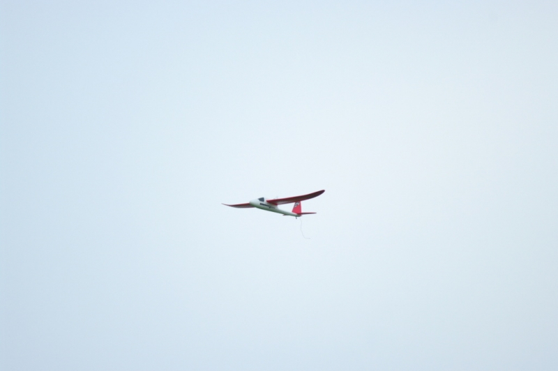 WildHawk