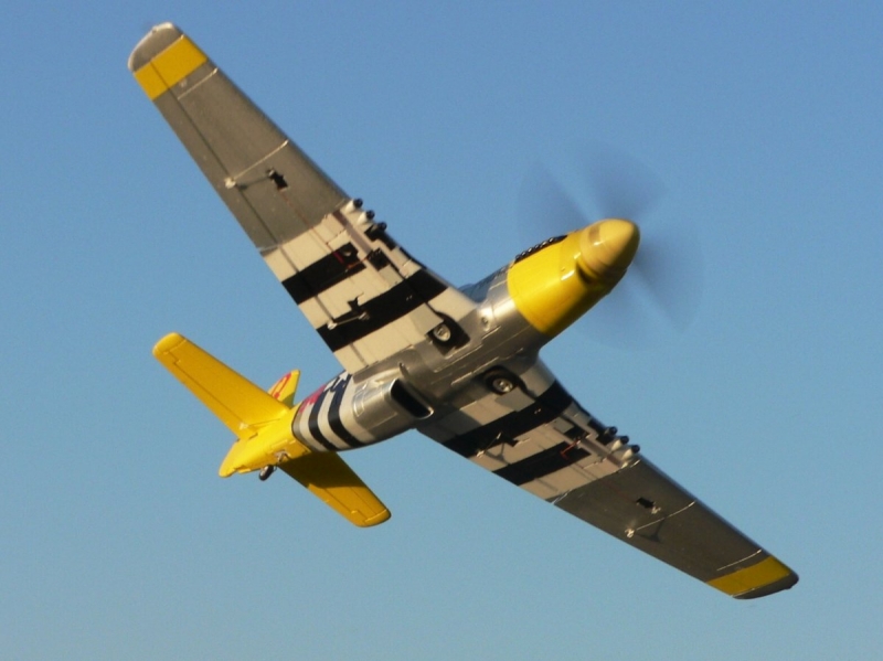 FMS  P-51D Mustang 1440mm