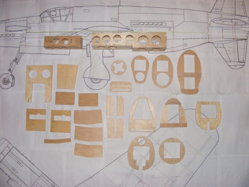 Dornier Do-335 (1:9)