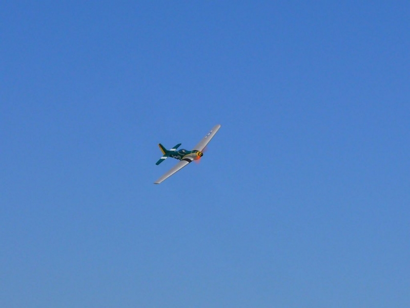 P-51D Mustang