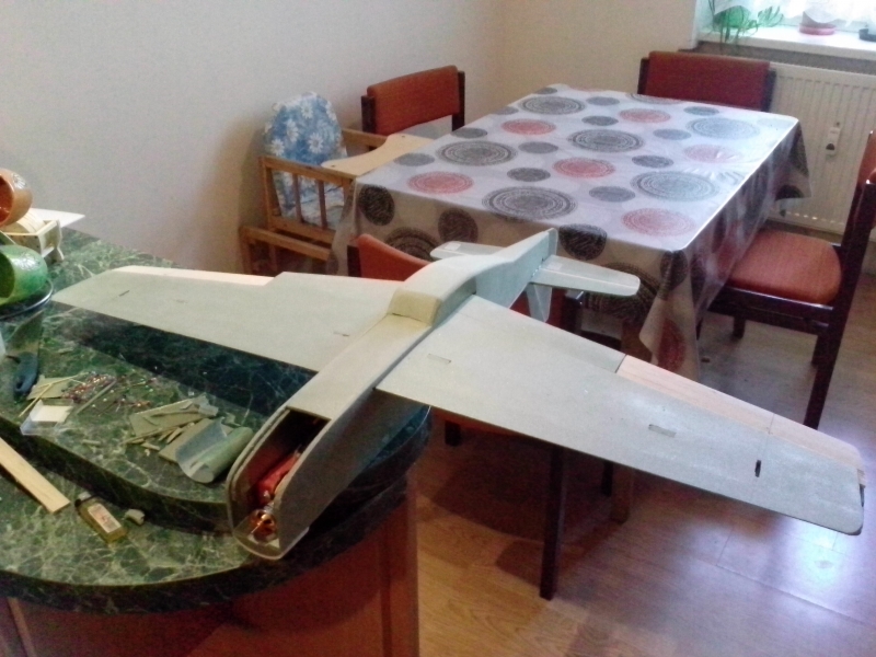 P51 D mustang