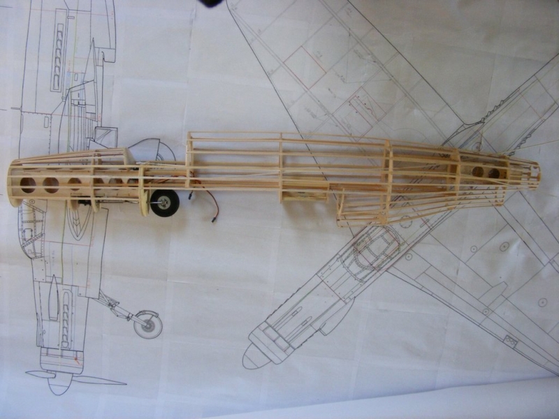 Dornier Do-335 (1:9)