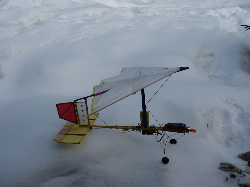 Mimi rogálko.........do tělocvičny