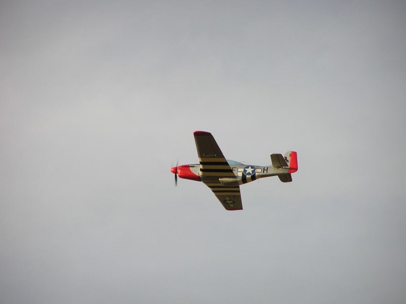 Mustang P-51D  1/10,5