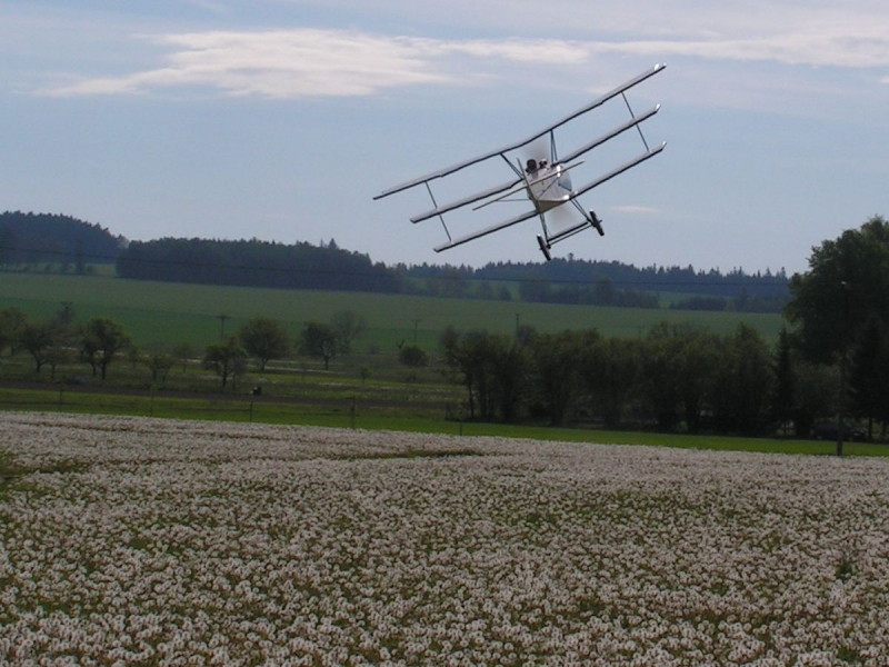 Fokker Dr. I