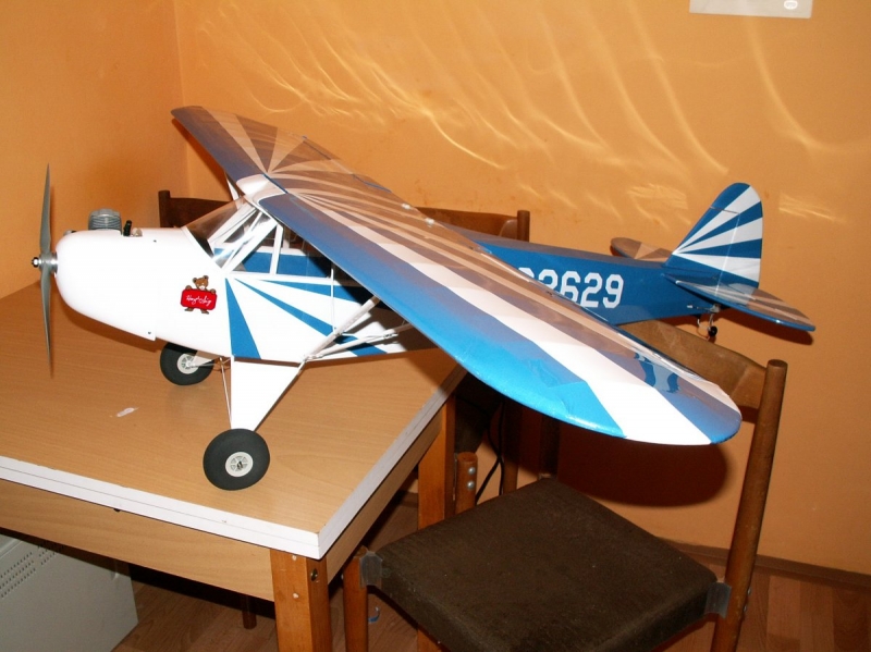 Piper J-3 clipped wing cub