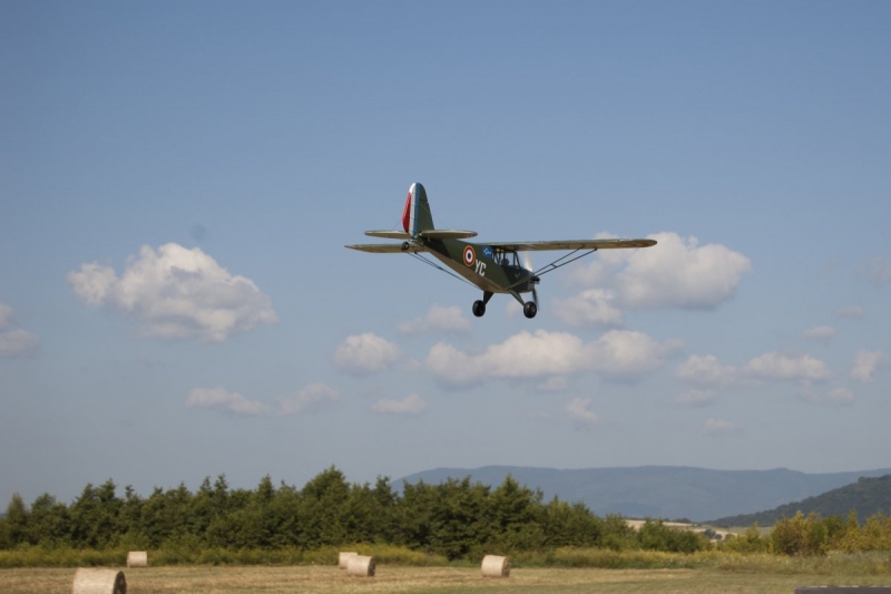 Piper Grasshoppar 1400mm