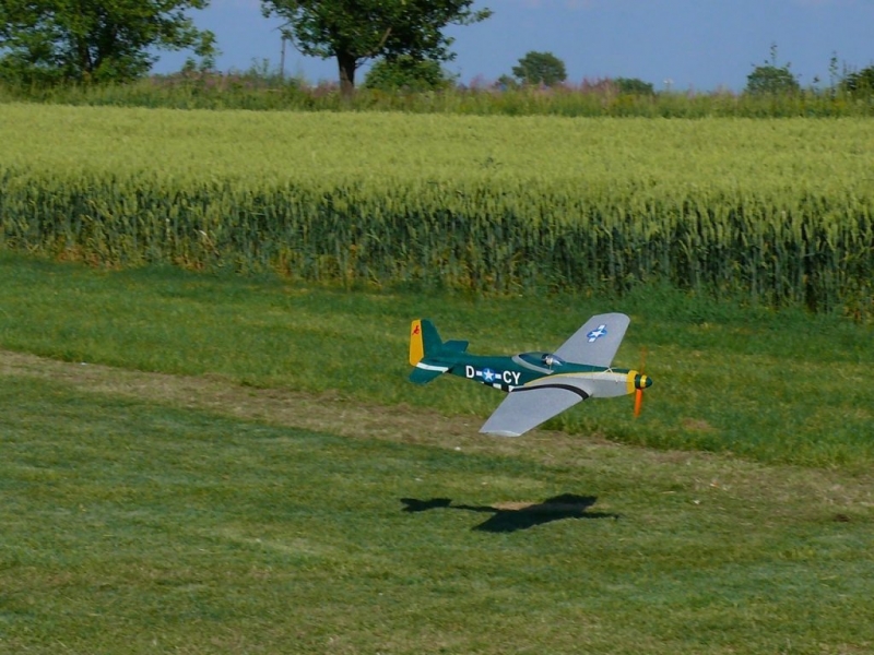 P-51D Mustang