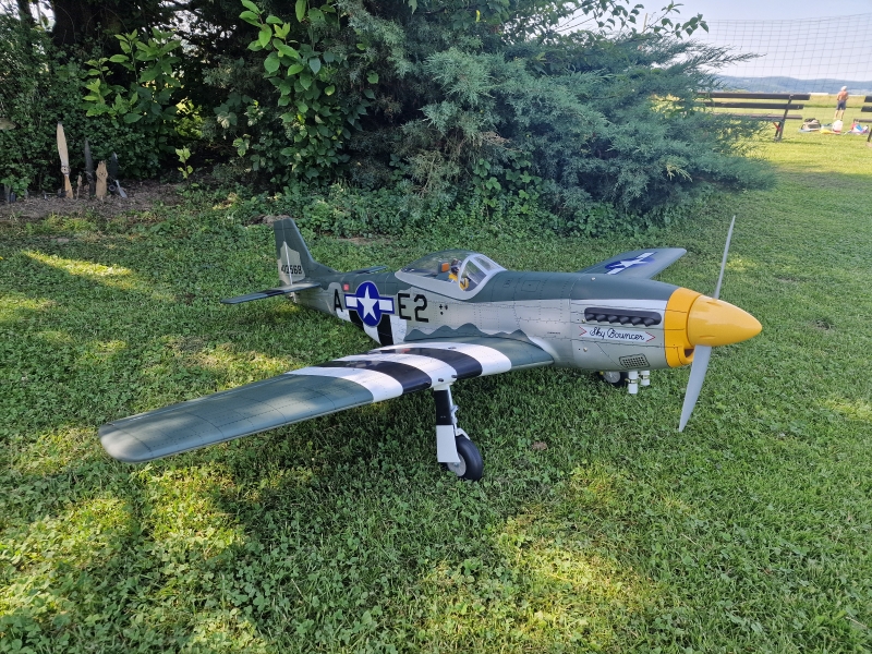 Mustang P-51D