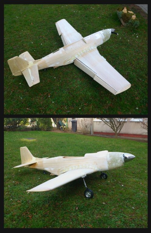 P-51 D Mustang