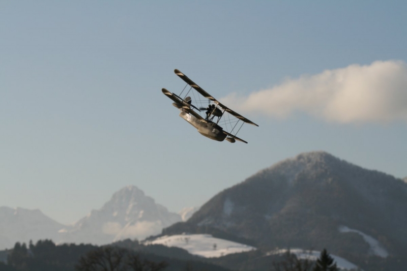 Mirco Walrus flying